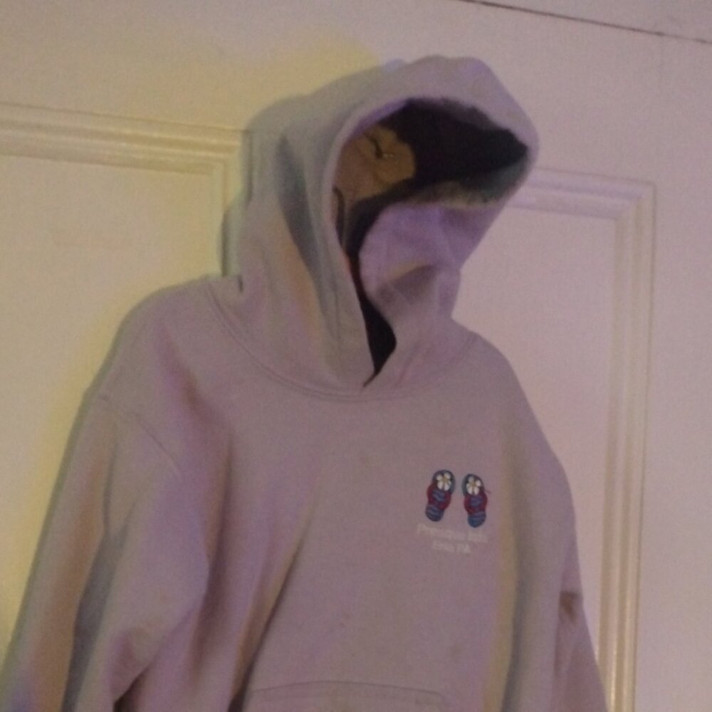 Violet Presque Isle Erie Hoodie